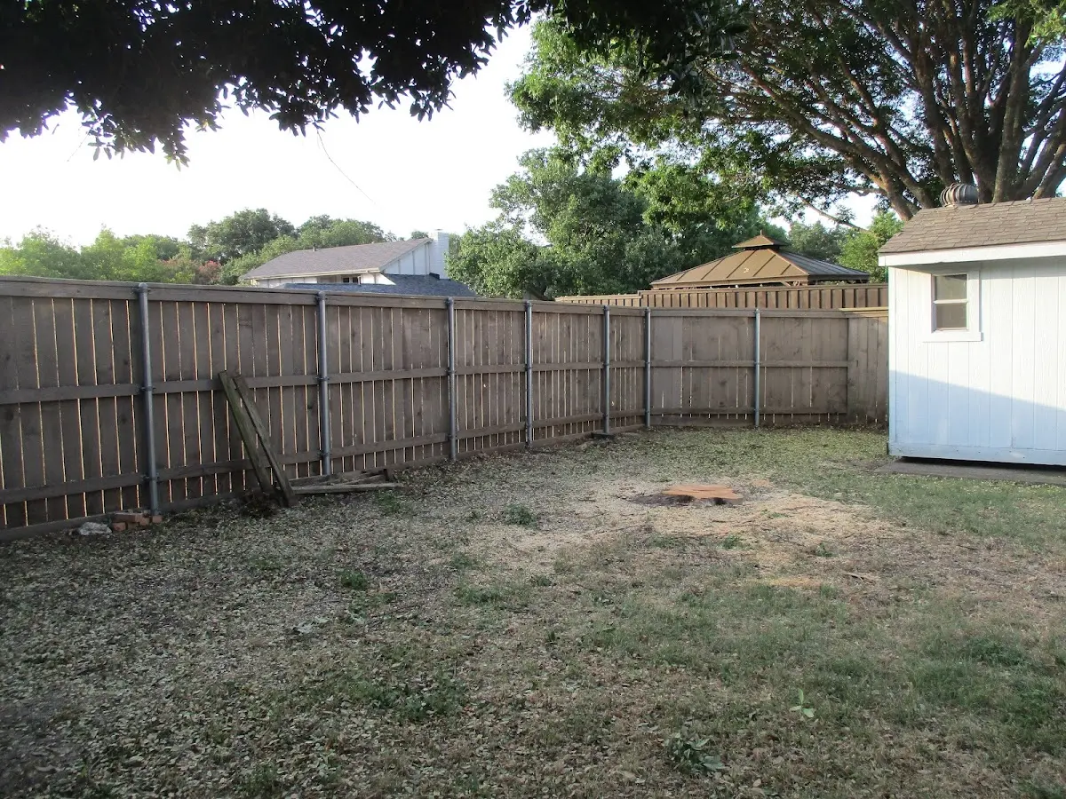 Cleared yard after professional tree removal in Estancia